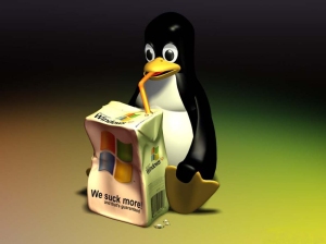 il pinguino di linux